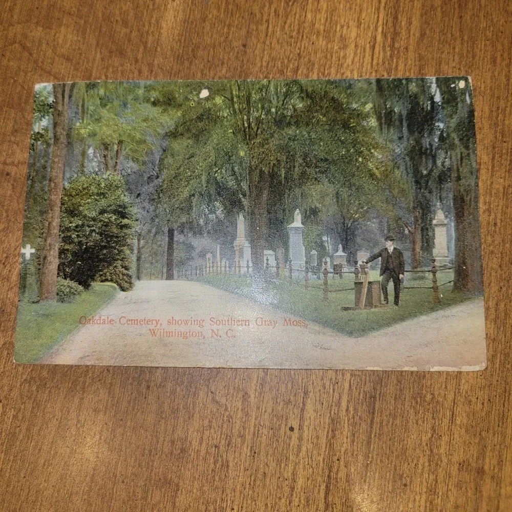 1908‎ Oakdale Cemetery Wilmington NC Postcard Southern Gray Moss North...